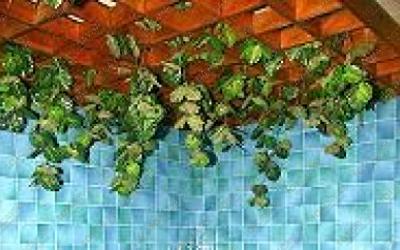 Сауна V.i.p. Банька, в Королеве, Комсомольская, 10 |  | 101sauna.moscow